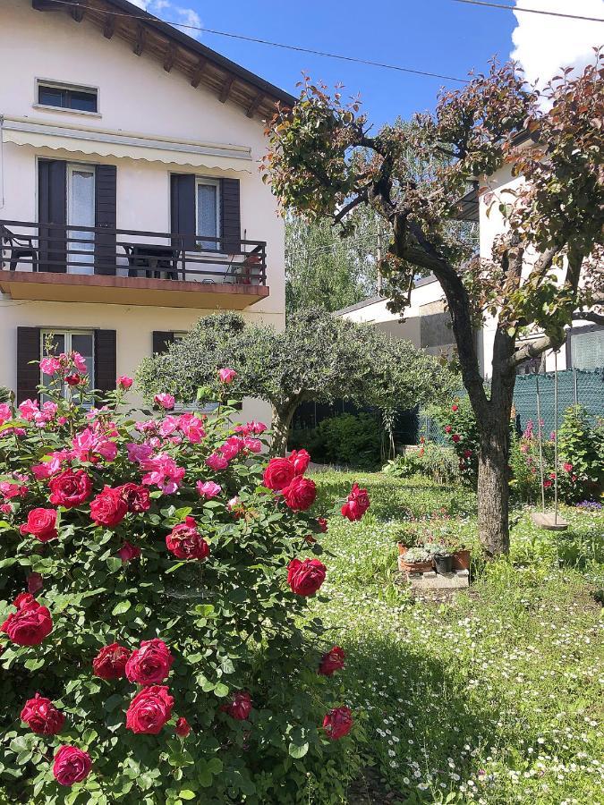 Casa Dotto Apartment Vittorio Veneto